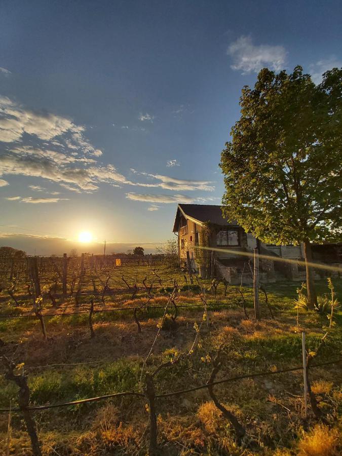 Izletiste Opatovac Guest House Екстериор снимка